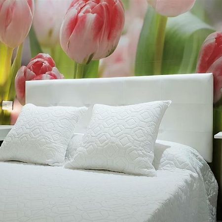 Home Sweet Home Arona  Bagian luar foto