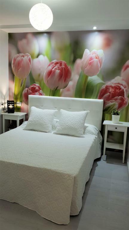 Home Sweet Home Arona  Bagian luar foto